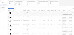 Google shopping expert