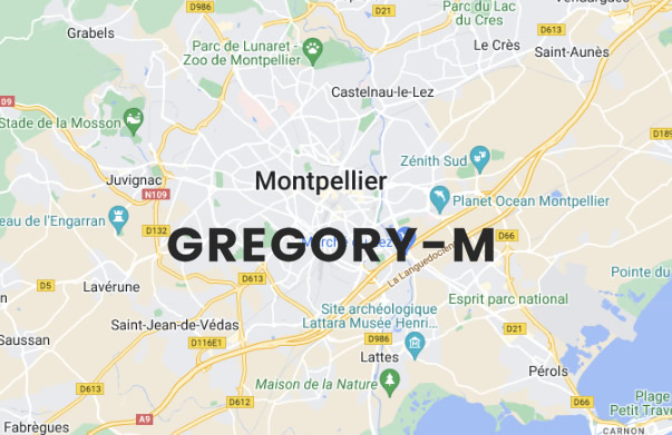 gregory M freelance google ads